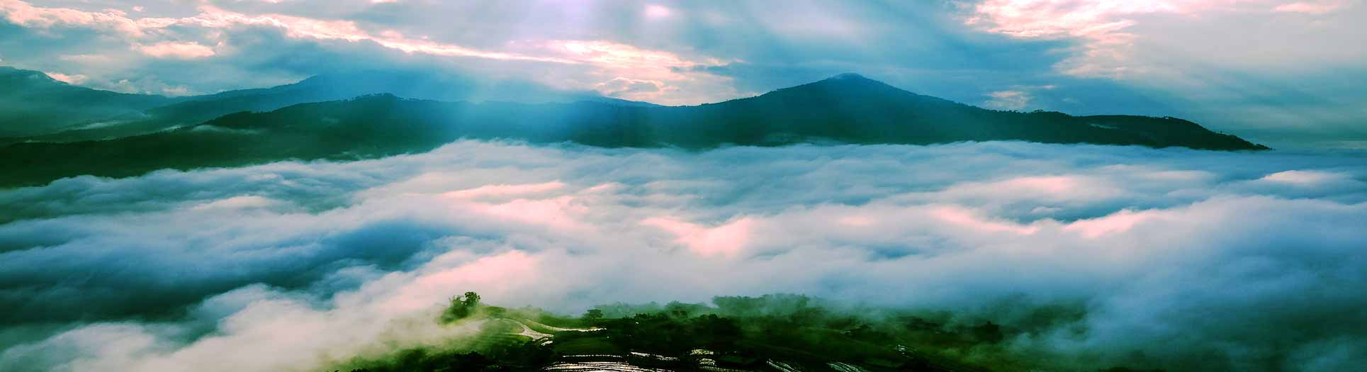 CHI IM LITTLE ATMOS, Selbstheilung, Regeneration, Atmen