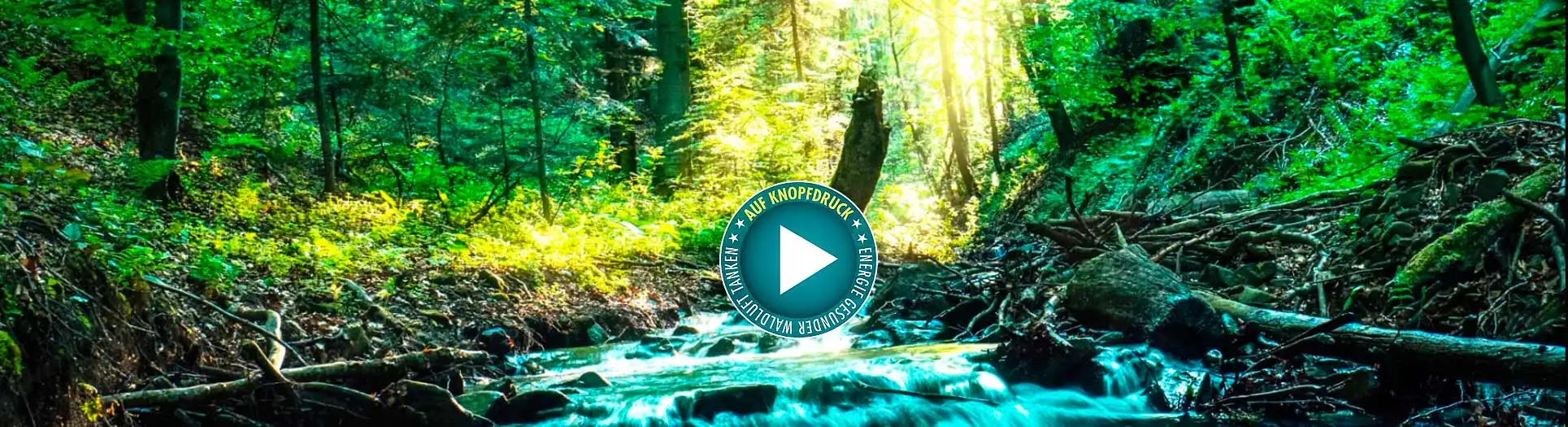 Firmengesundheit-Startsignal, Selbstheilung, Regeneration, Atmen