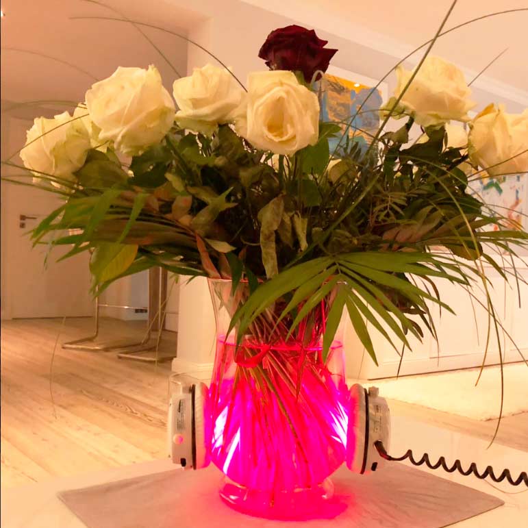 Frischhalten bei Pflanzen