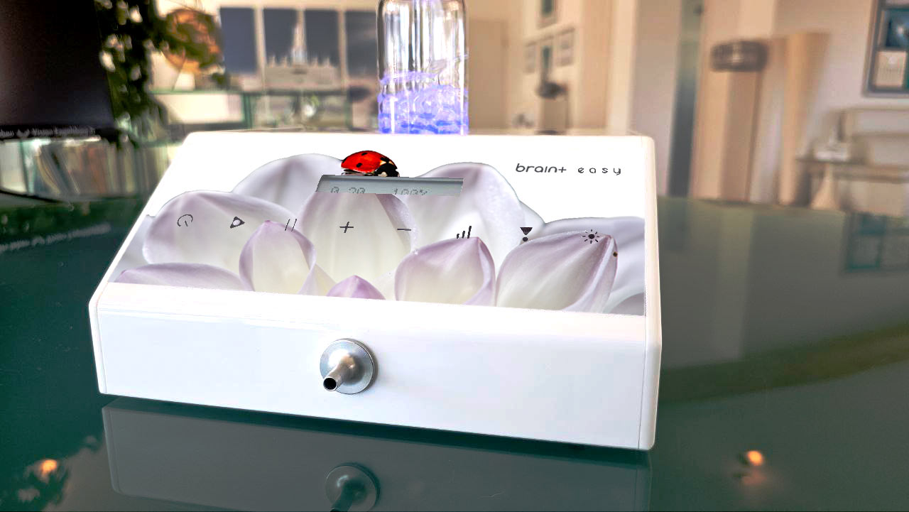 Marienkäfer stehen für intakte Natur