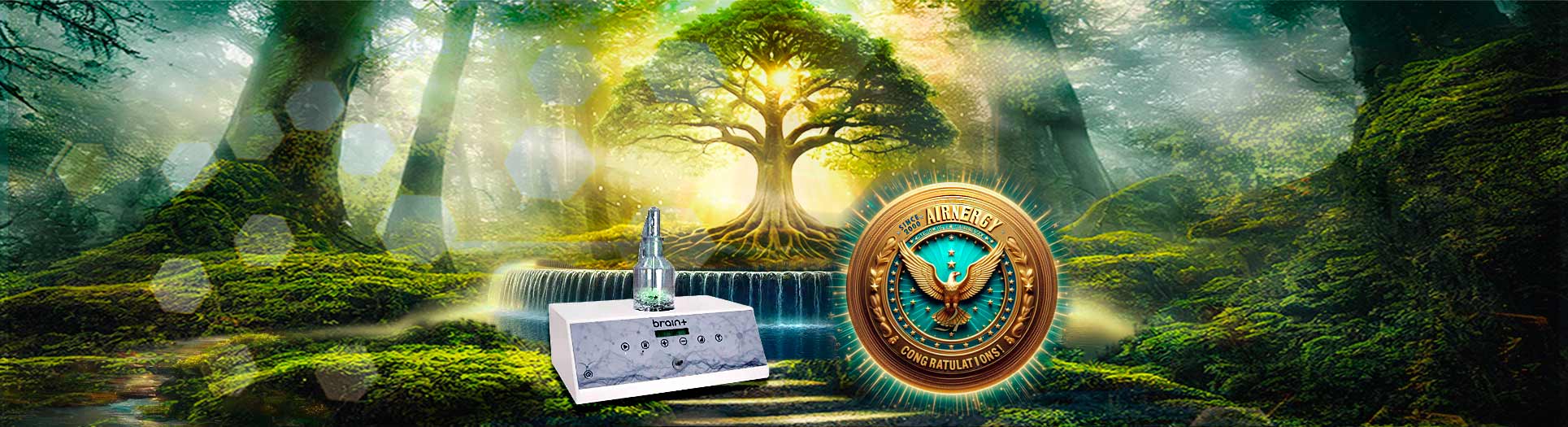 AIRNERGY+ BRAIN+ Faktencheck:, Zellatmung, Selbstheilung, Regeneration, Atmen