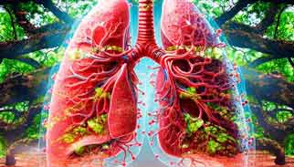 copd, ein kraeftezehrender kampf gegen atemnot.staerkung mit airnergy-stream