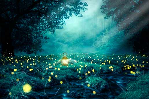 airnergy-ethik-lichter, Ordnungsprinzipien des Lebens