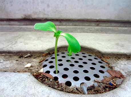 Airnergy-Naturkraft-Ethik